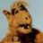 Alf